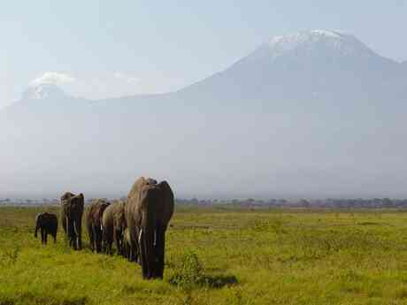Classic Kenya Adventure Safari